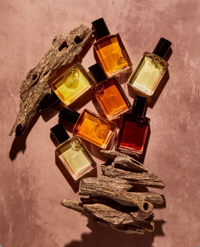 سیتی اف استارز